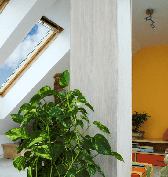 Velux-Skylights