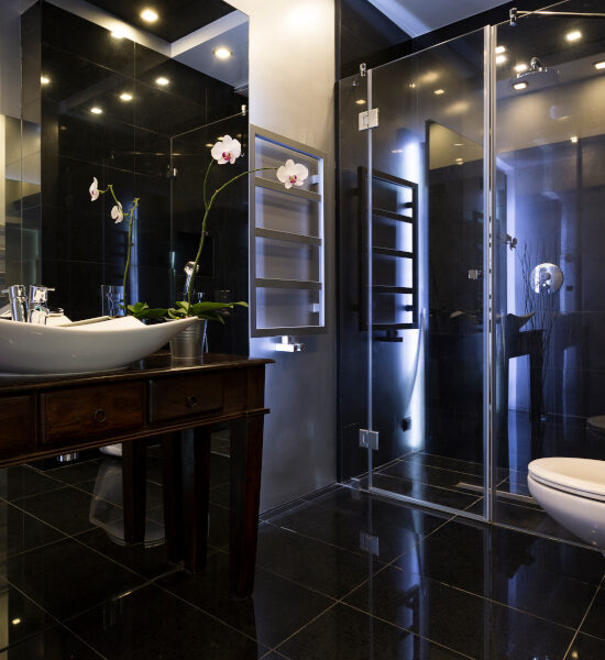 Luxurious bathroom interior with shower and dark tiles